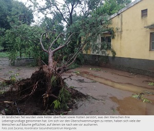 Umgestürzter Baum auf schlammigem Hof.