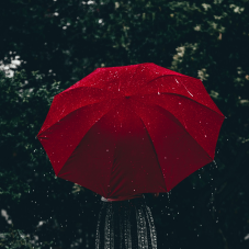 Regenschirm